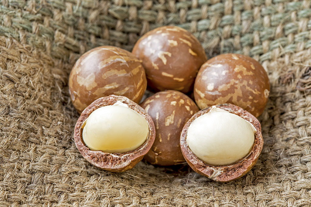Noix de macadamia vierge || Olisud